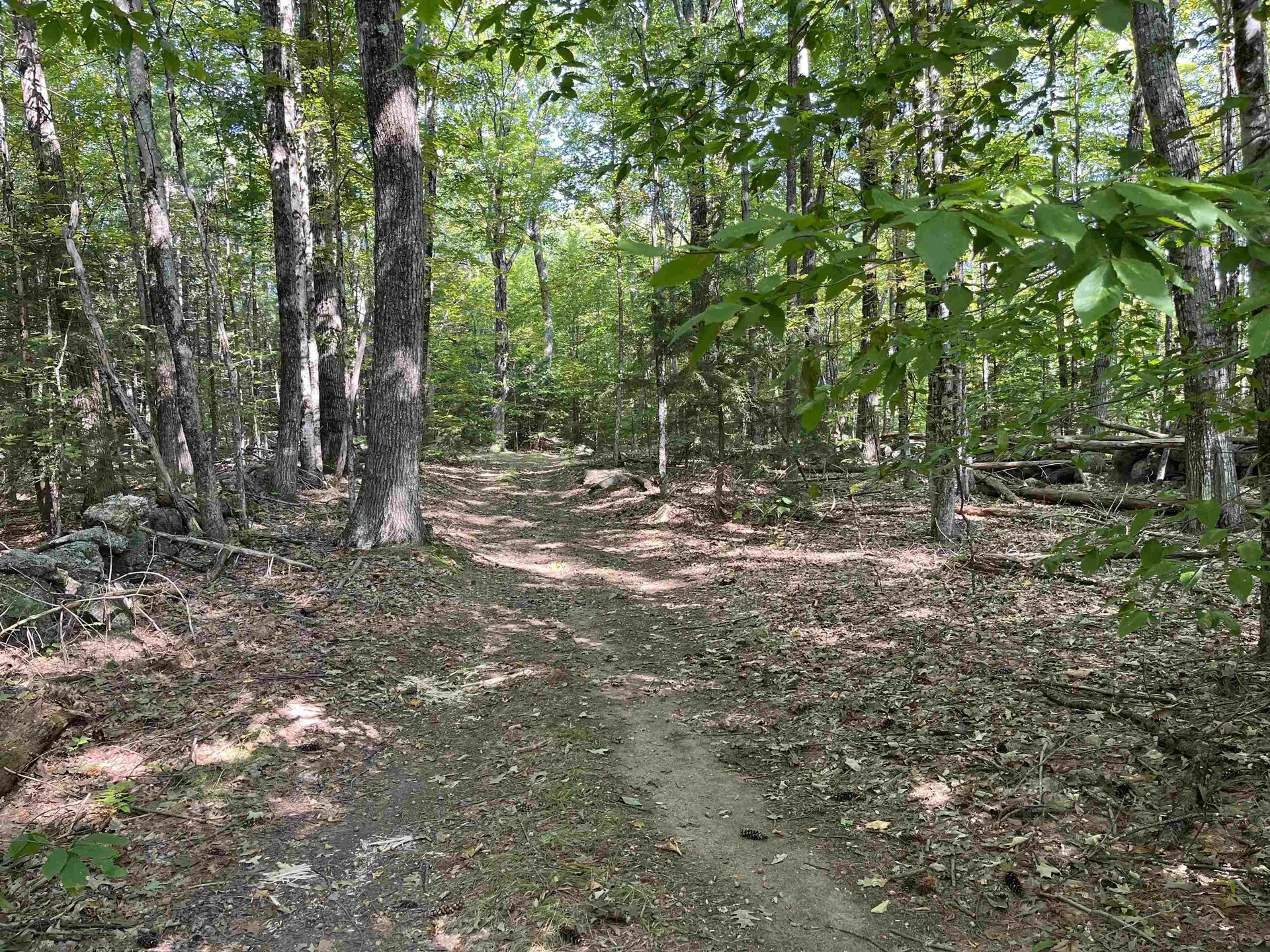 Old Stoddard Road Hancock NH 03449