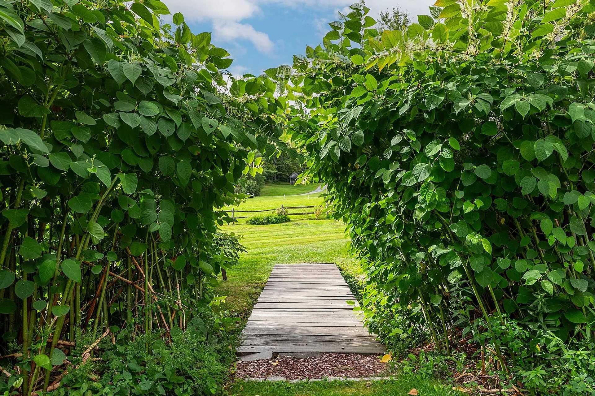 5851 South Road Woodstock VT 05071