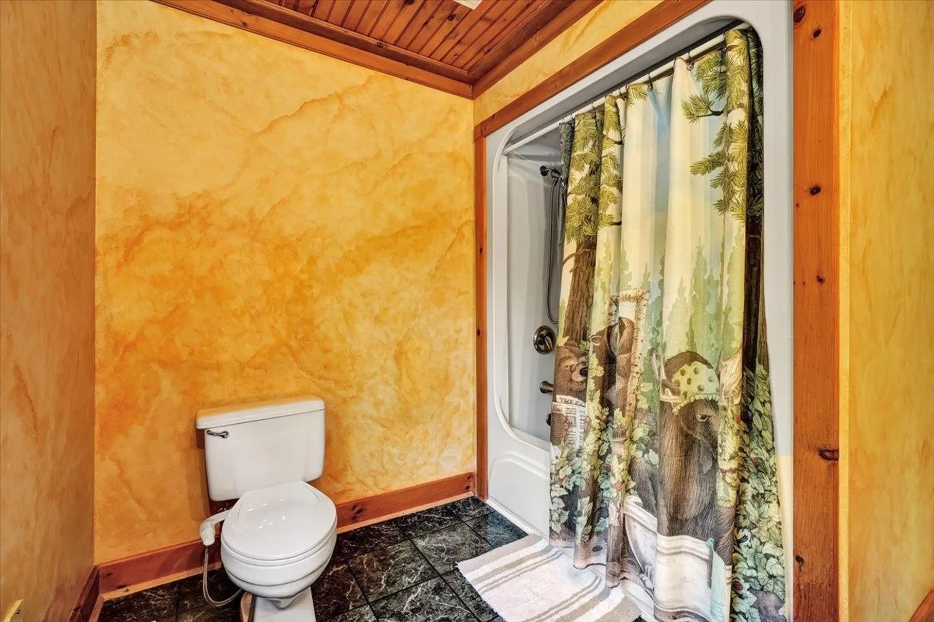 33 Repa Road Underhill VT 05489