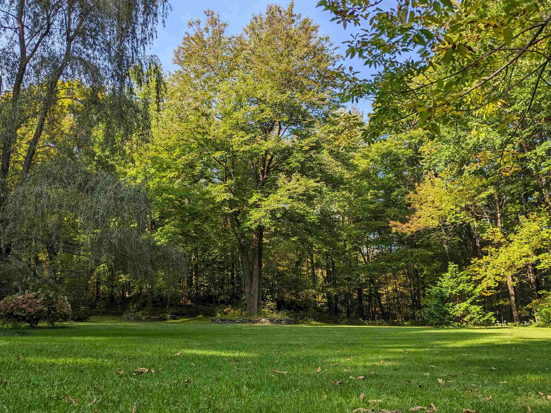 33 Repa Road Underhill VT 05489