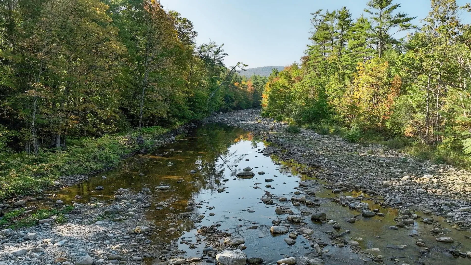 34 Route 100 Wardsboro VT 05355