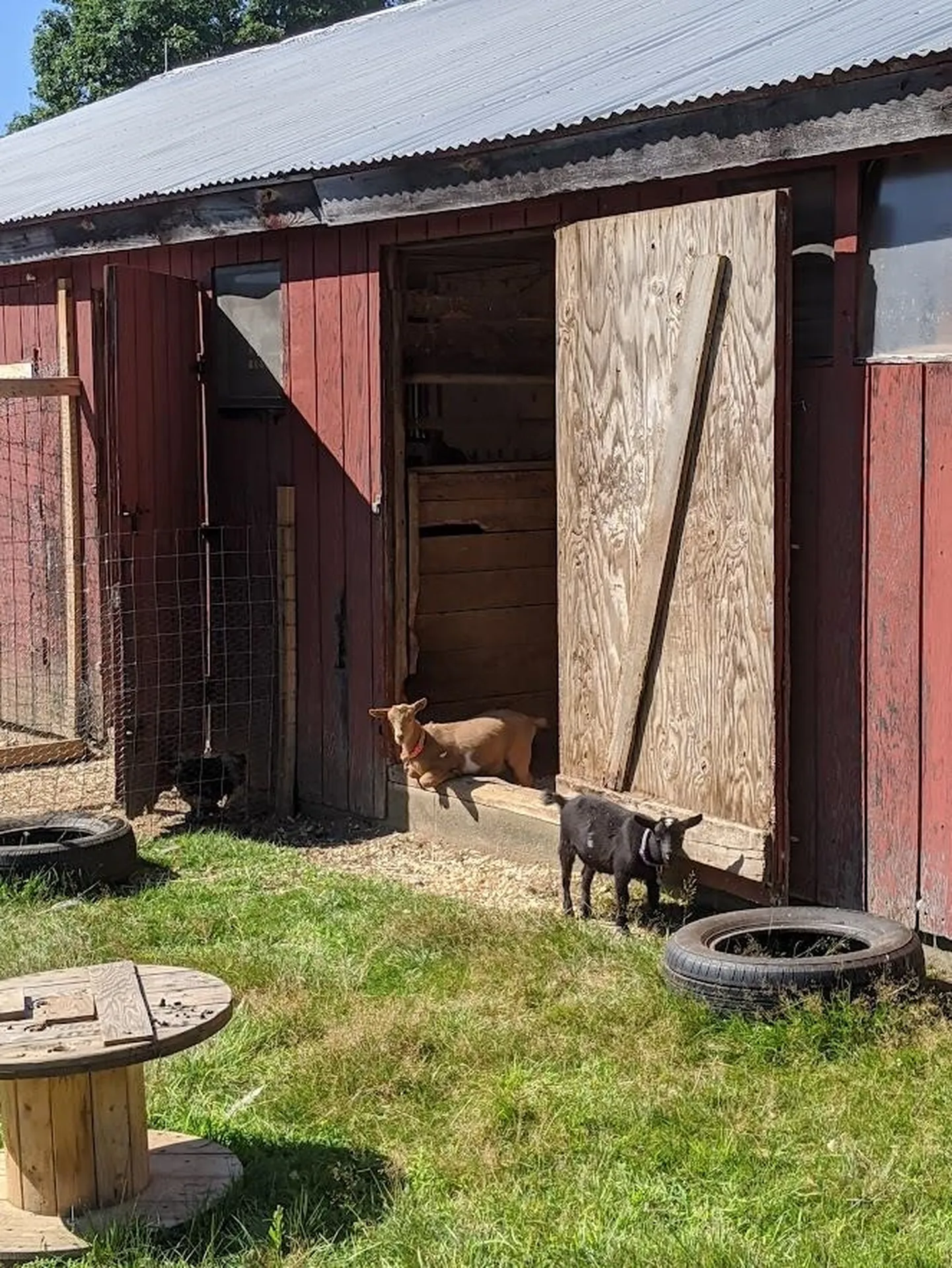 97 Mast Road Lee NH 03861