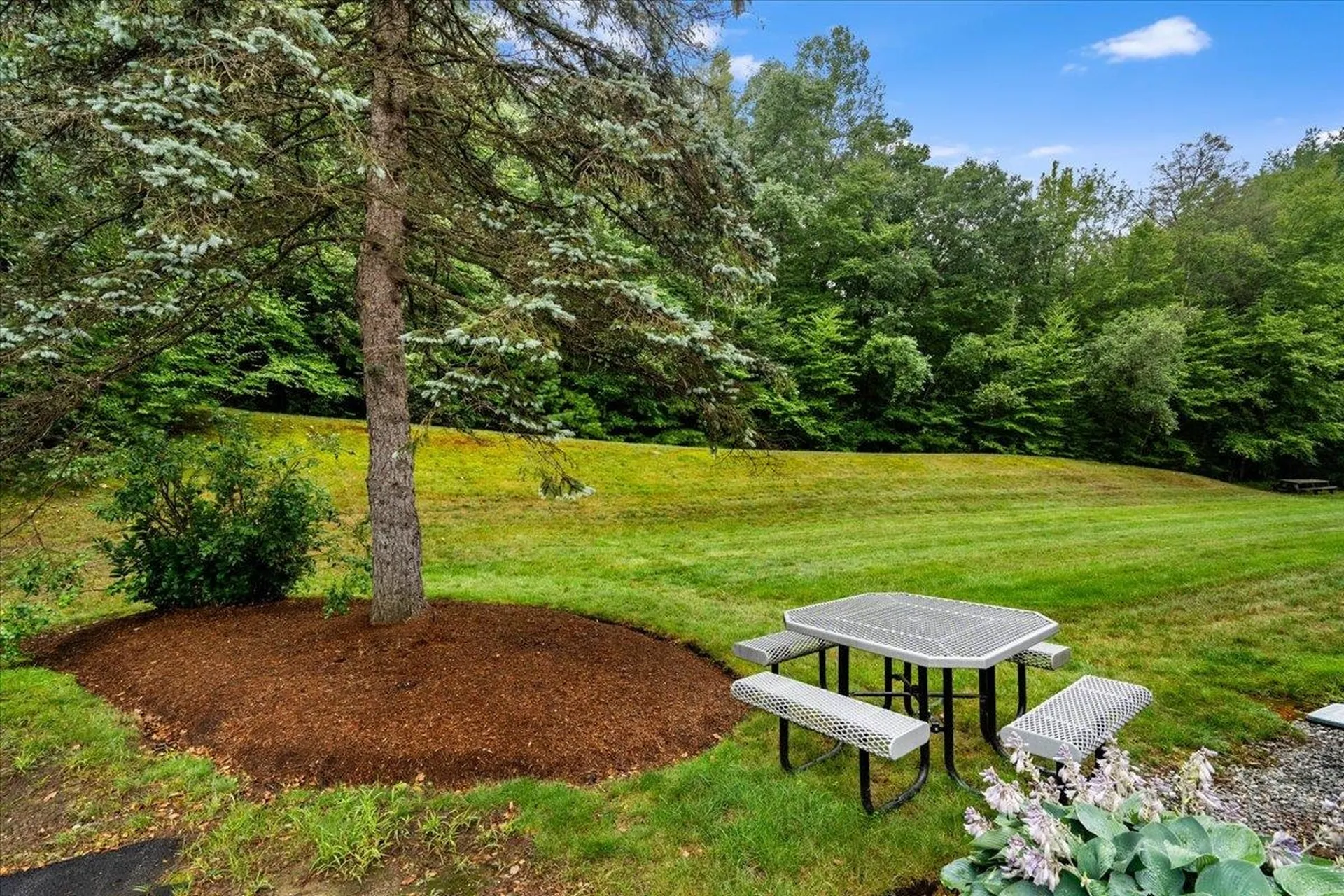 7 Nh Route 101a Amherst NH 03031