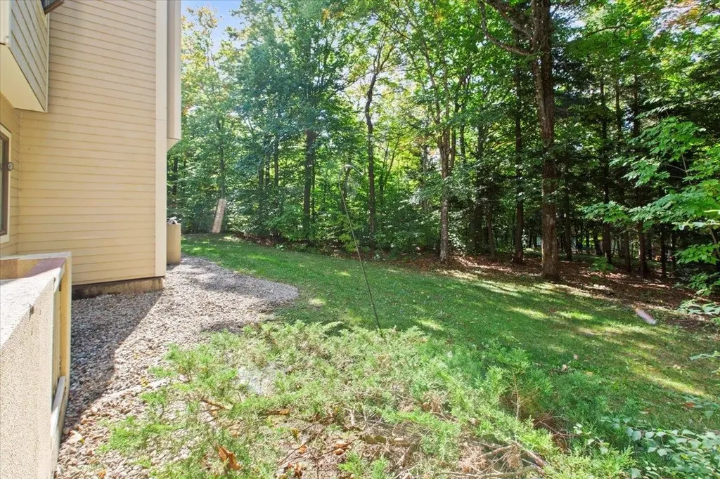 85 East Birch Road Stratton VT 05155