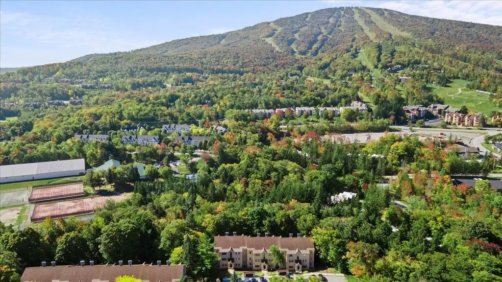 85 East Birch Road Stratton VT 05155