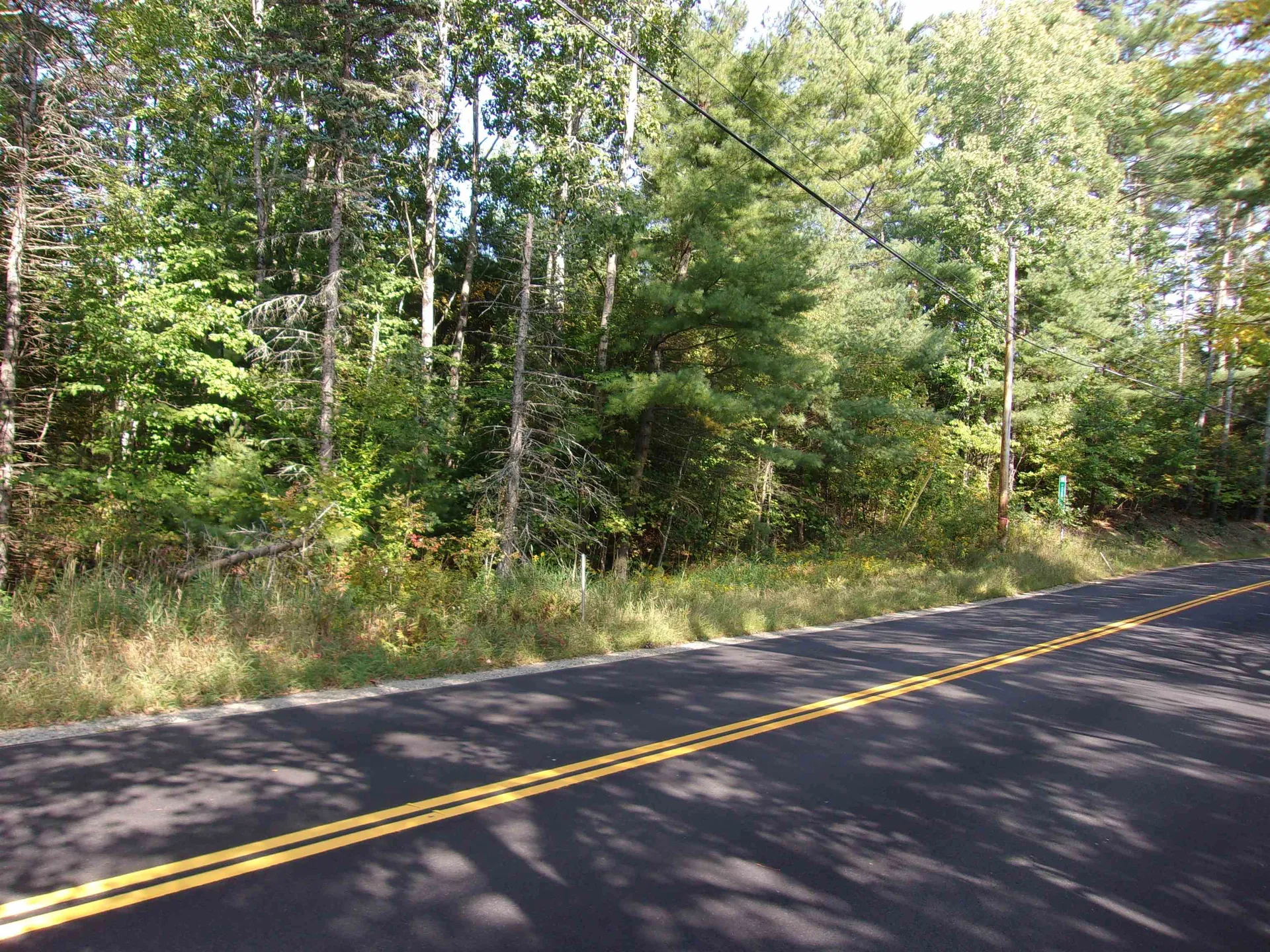 Wild Ammonoosuc Road Bath NH 03740