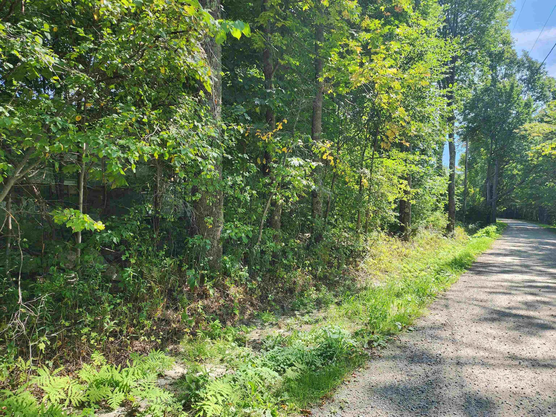 304 Cobb Road Andover VT 05143