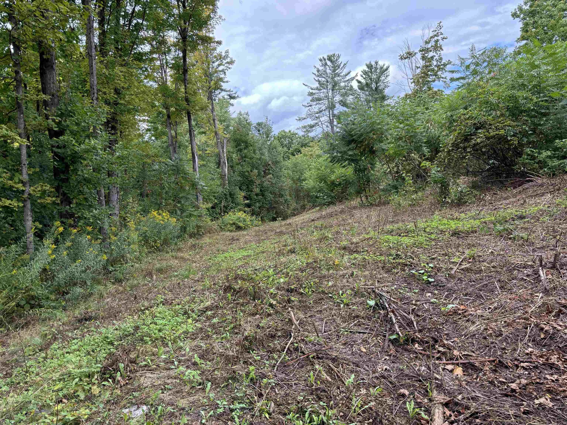 0 Byam Avenue Northfield VT 05663