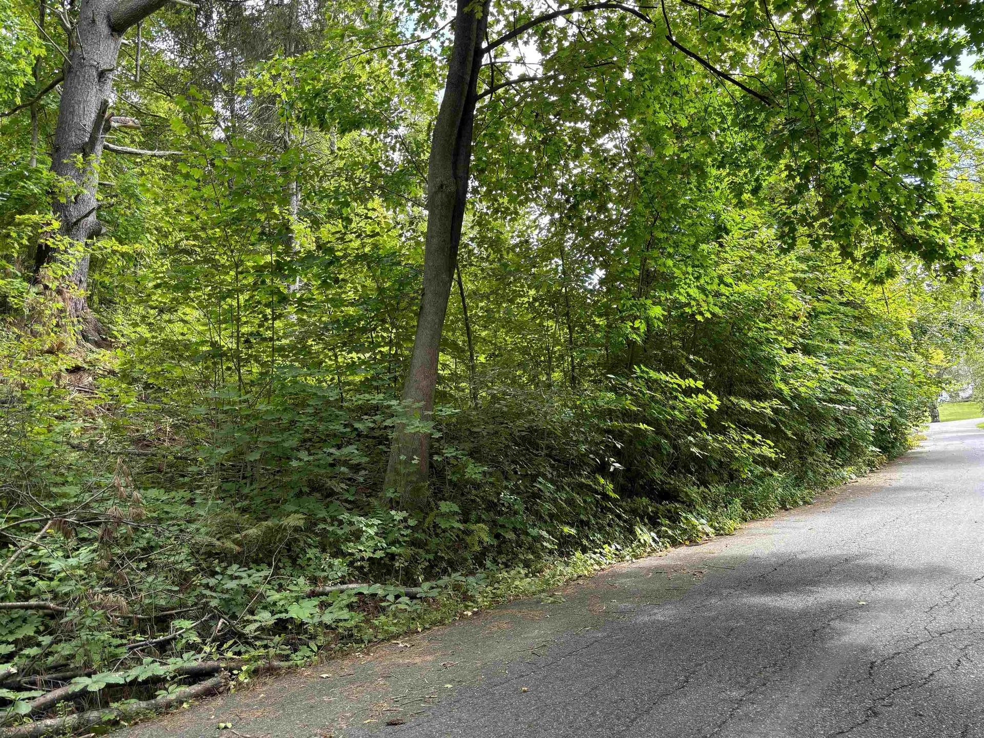 0 Byam Avenue Northfield VT 05663