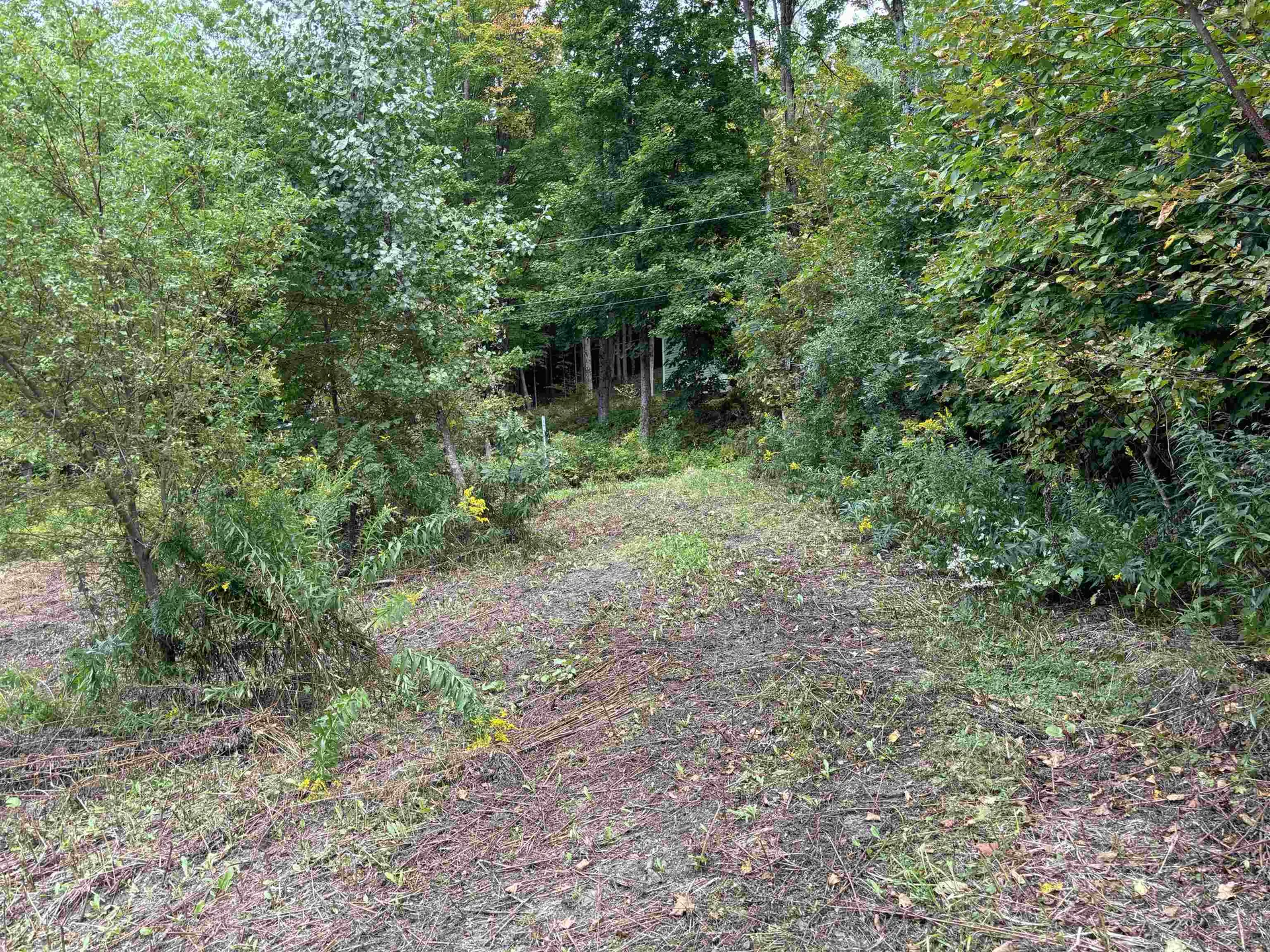 0 Byam Avenue Northfield VT 05663