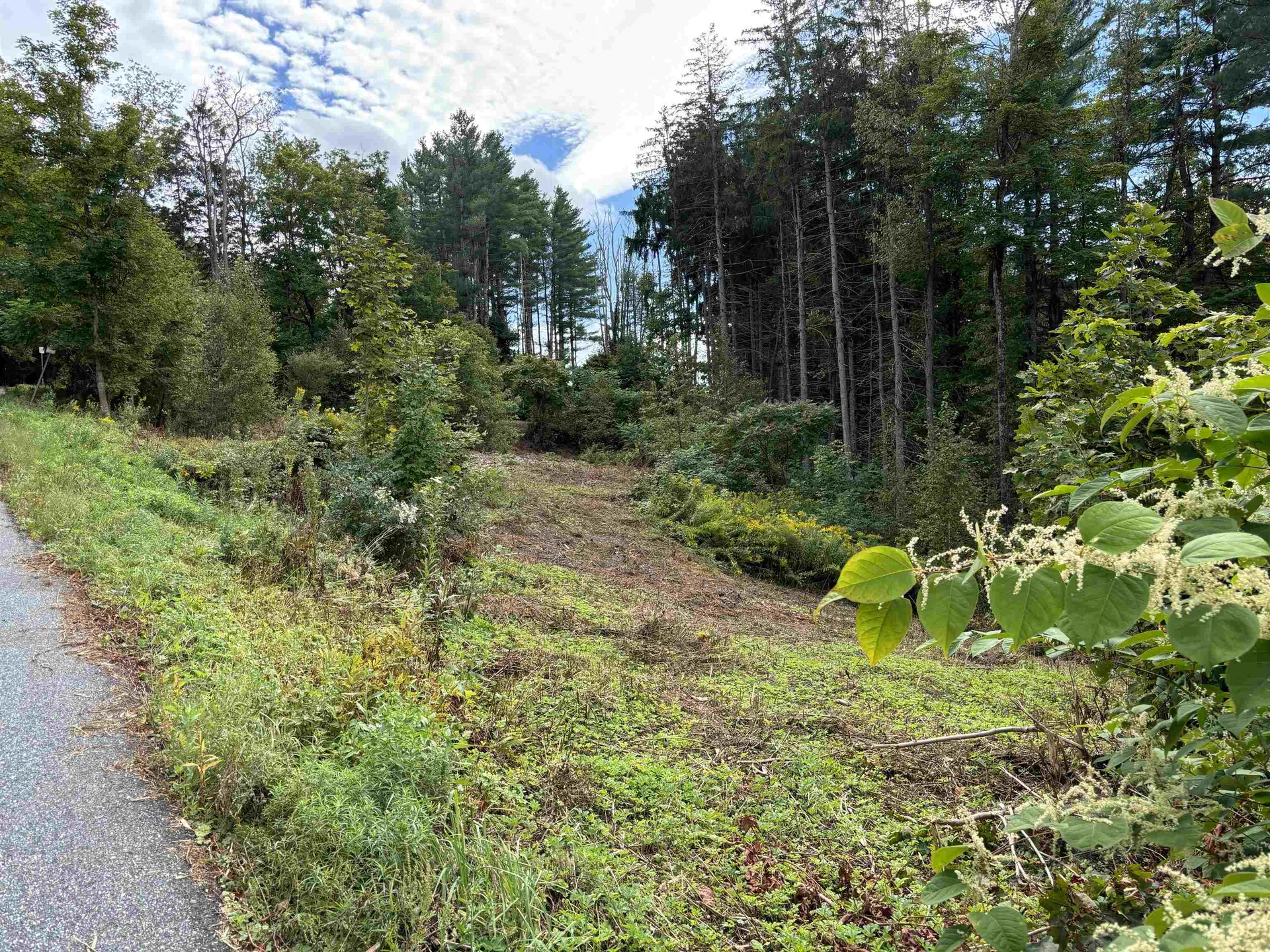 0 Byam Avenue Northfield VT 05663