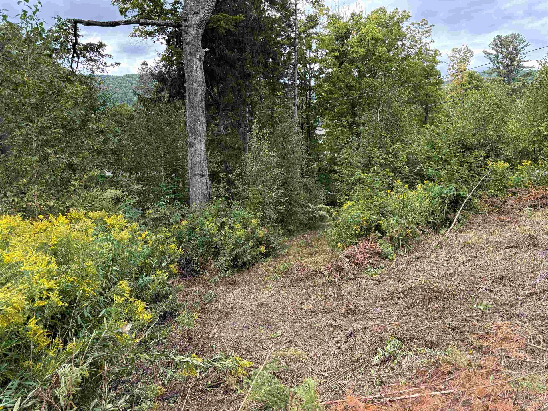 0 Byam Avenue Northfield VT 05663