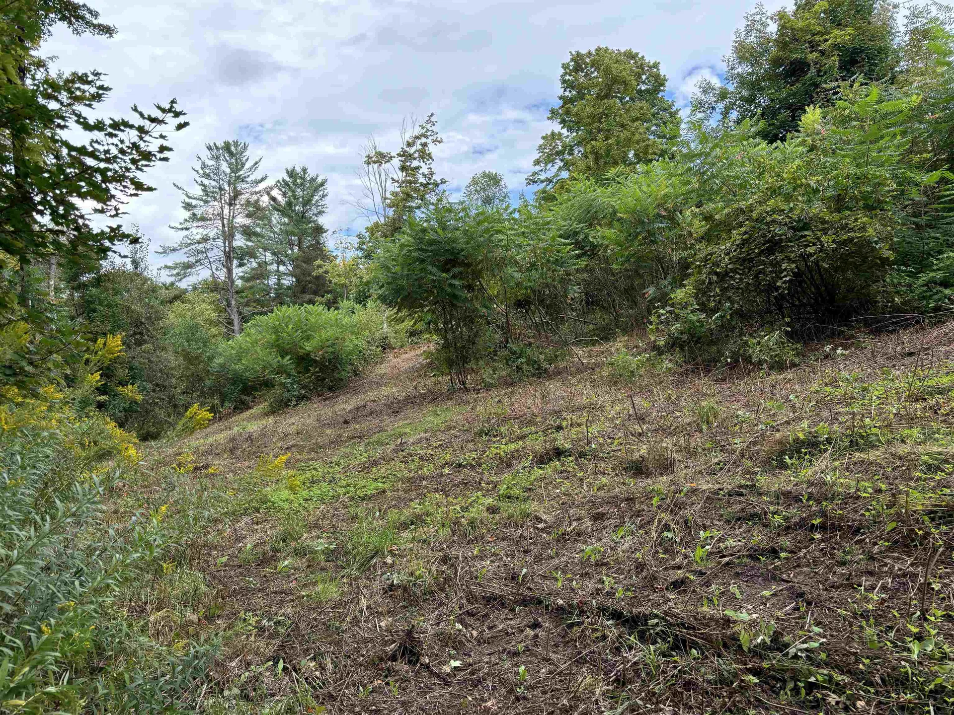 0 Byam Avenue Northfield VT 05663