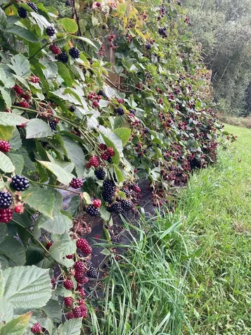 651 Kendall Road Franklin VT 05450