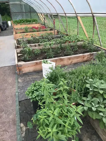 651 Kendall Road Franklin VT 05450