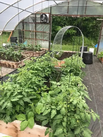 651 Kendall Road Franklin VT 05450