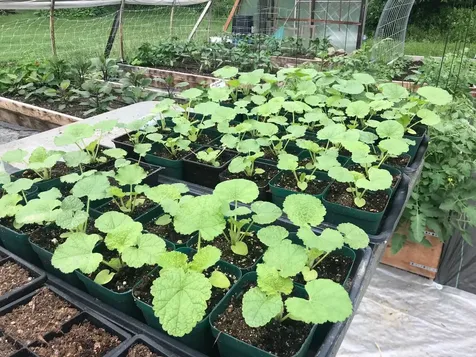 651 Kendall Road Franklin VT 05450