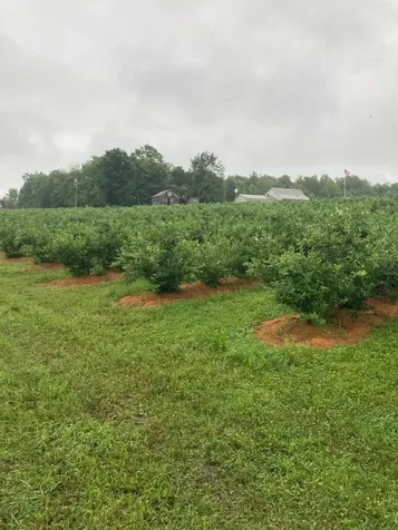 651 Kendall Road Franklin VT 05450