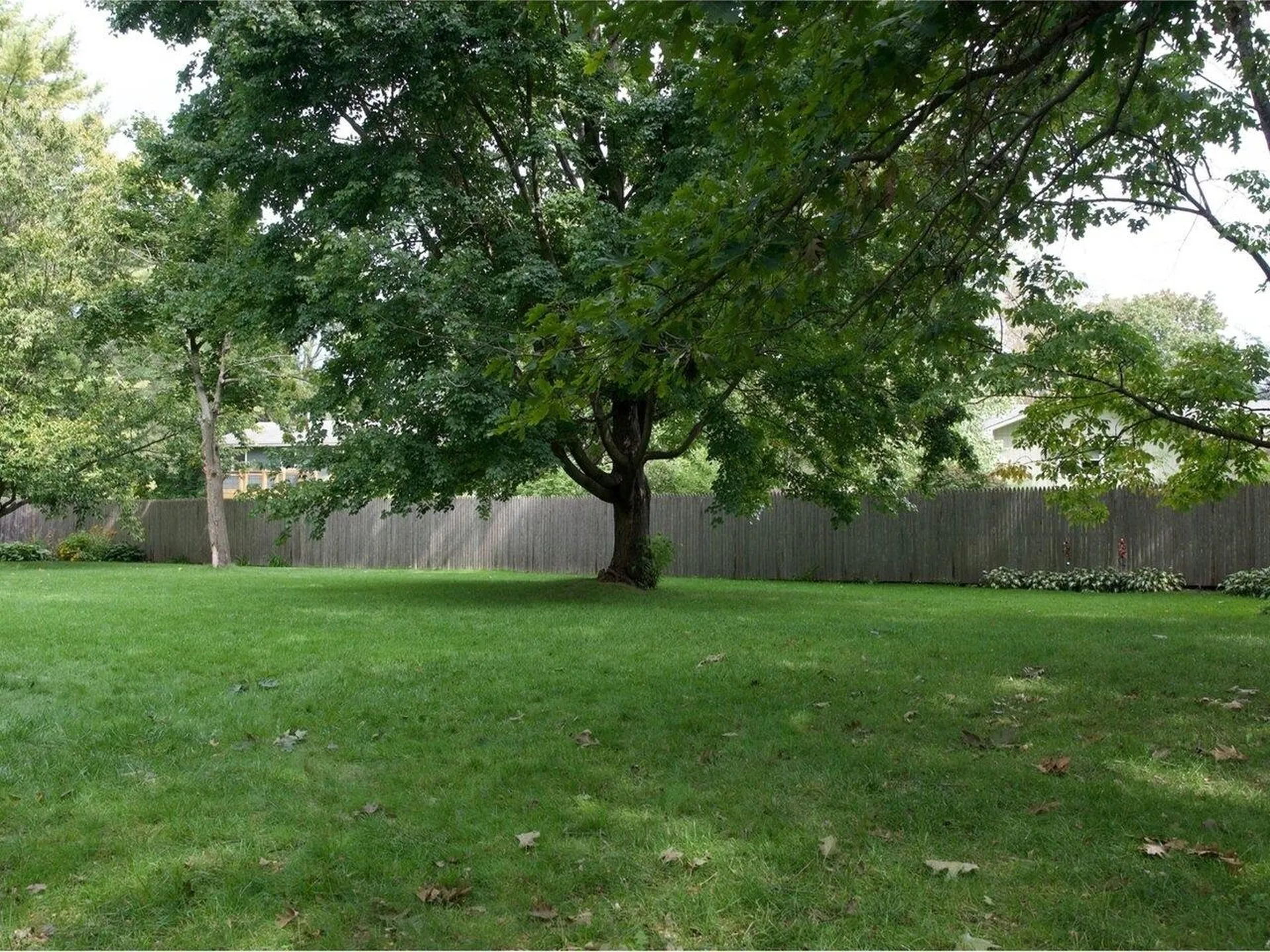 57 Tracy Lane Shelburne VT 05482