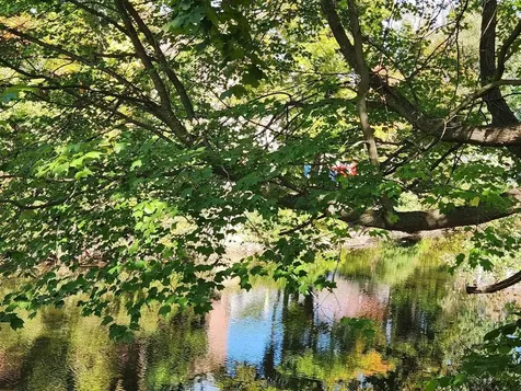 30 Beech Street Bristol NH 03222