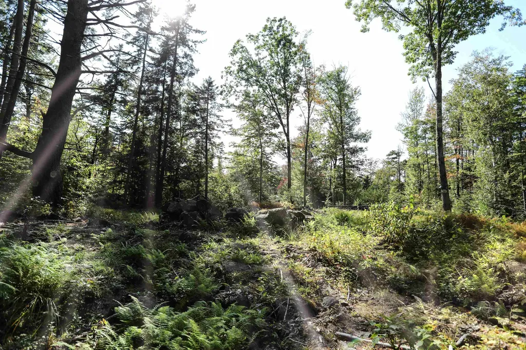 0 Rogers Road Alstead NH 03602