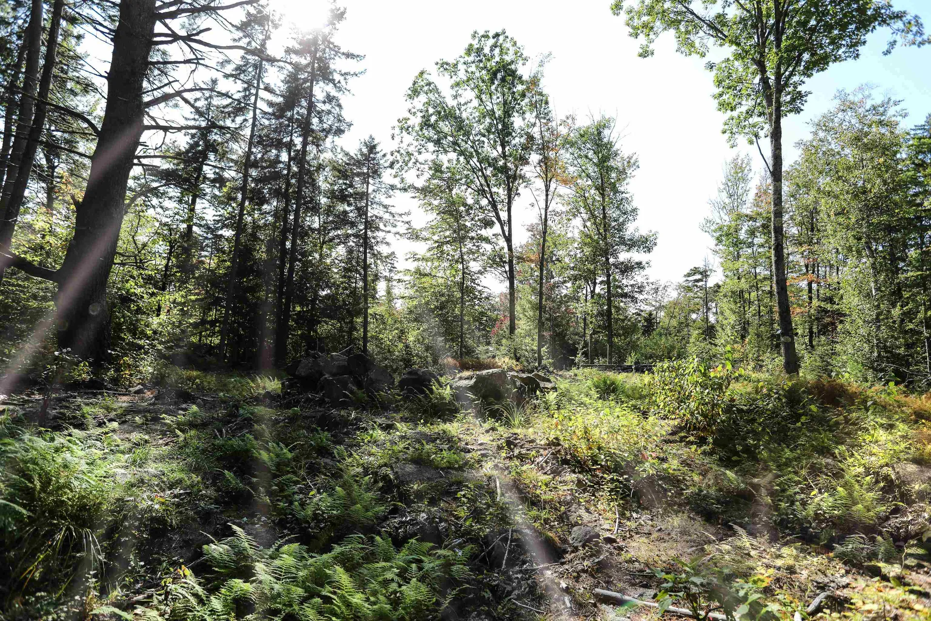 0 Rogers Road Alstead NH 03602