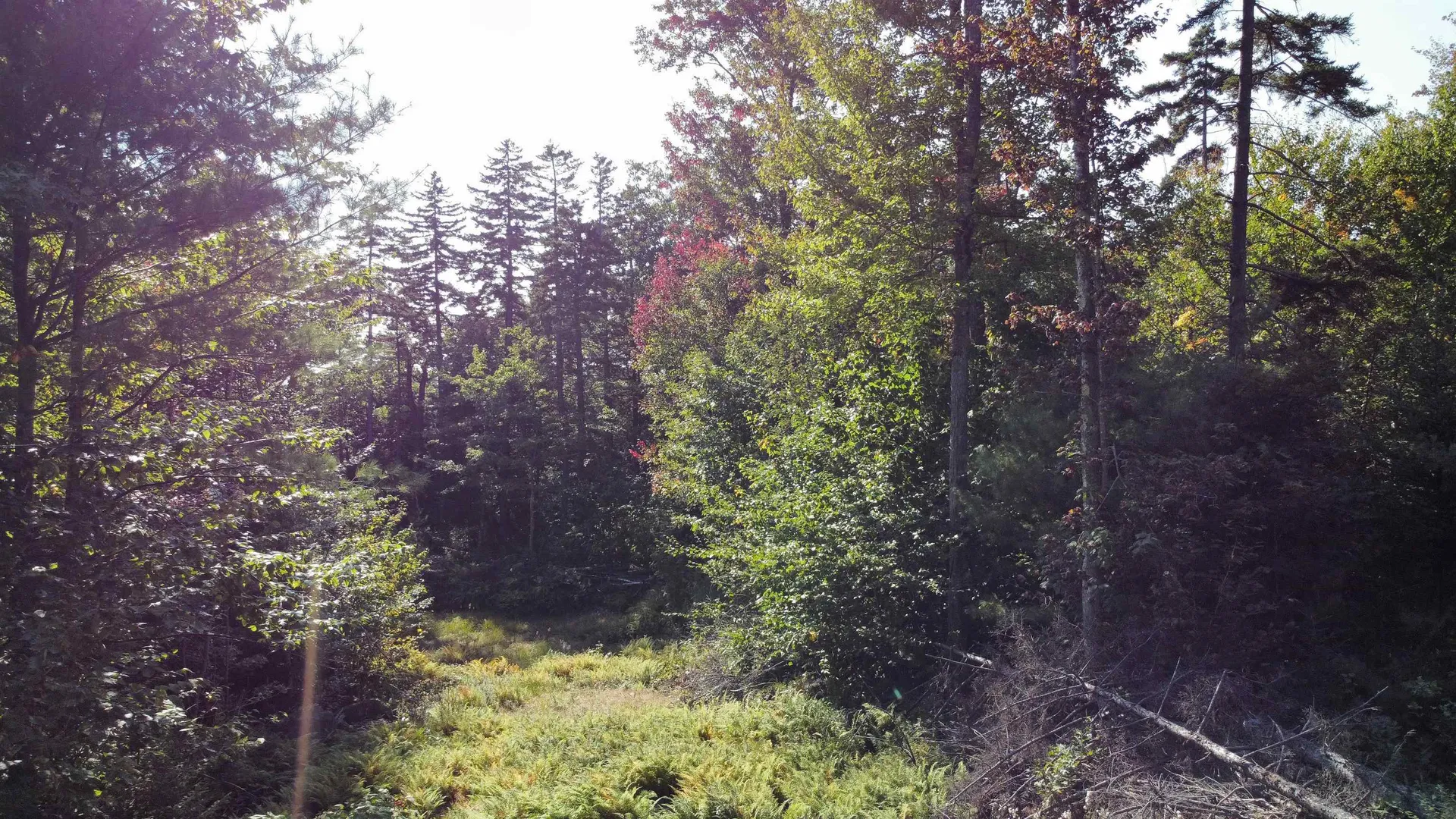 0 Rogers Road Alstead NH 03602