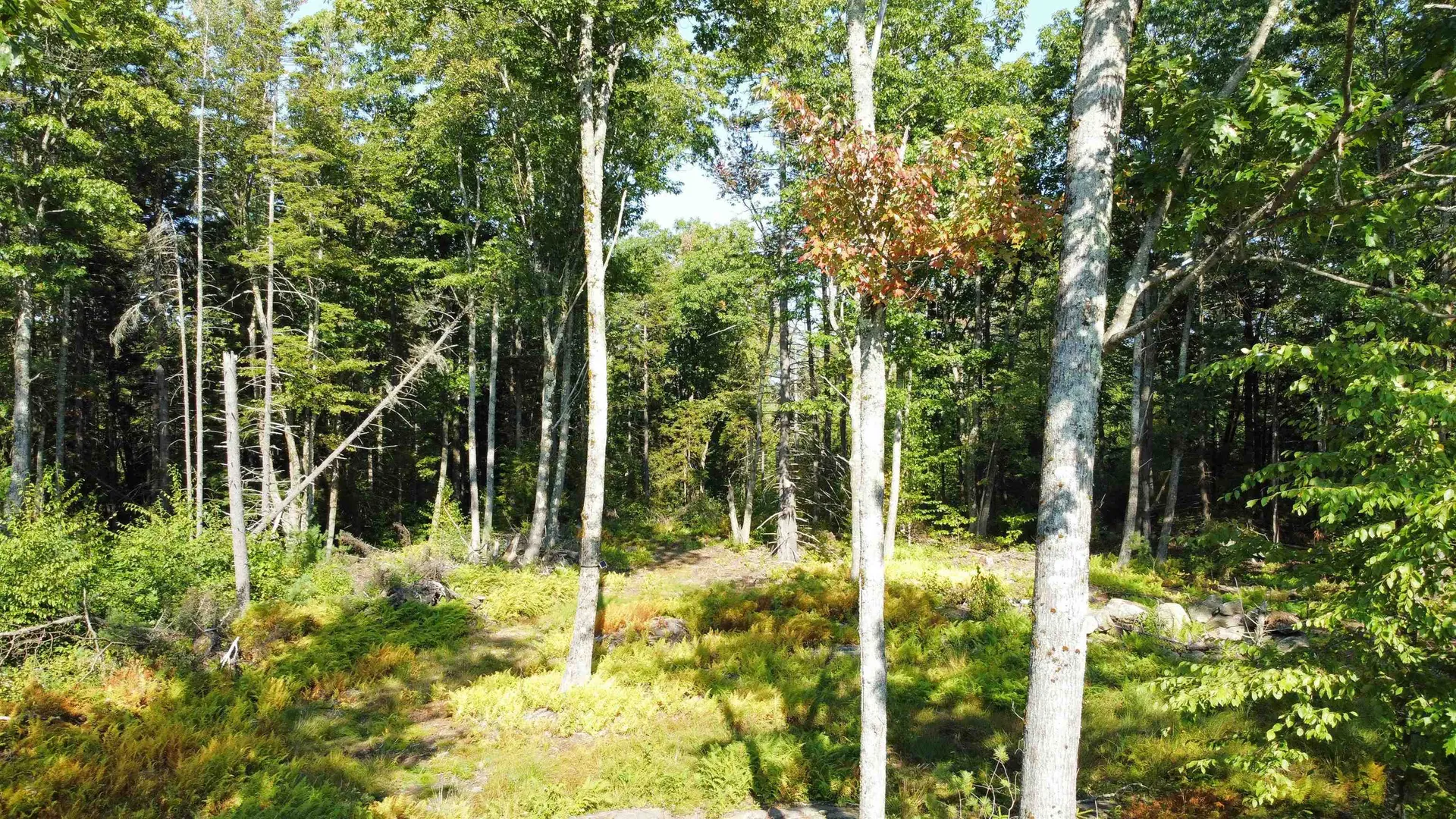 0 Rogers Road Alstead NH 03602