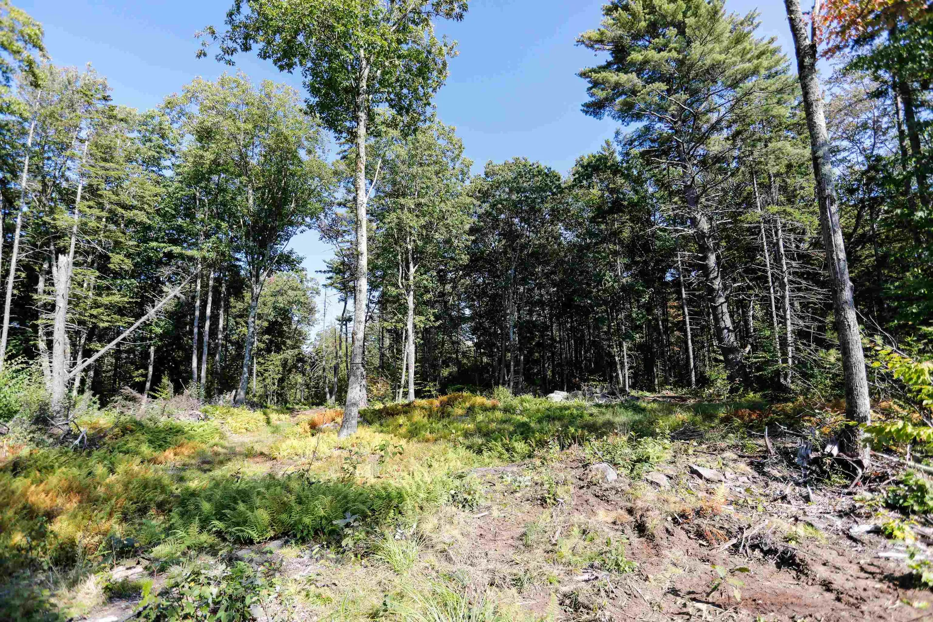 0 Rogers Road Alstead NH 03602