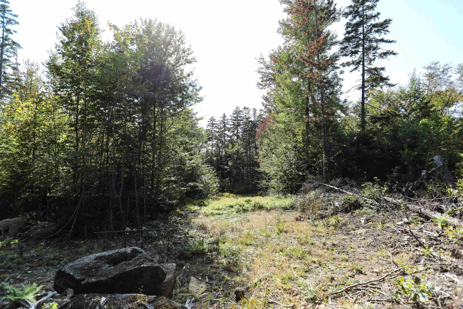 0 Rogers Road Alstead NH 03602