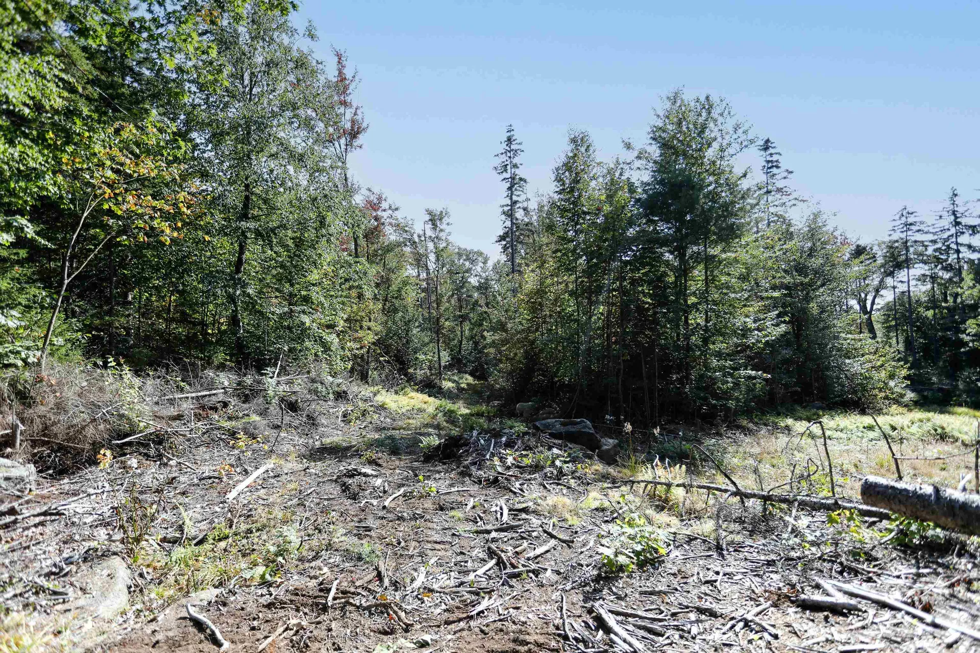 0 Rogers Road Alstead NH 03602
