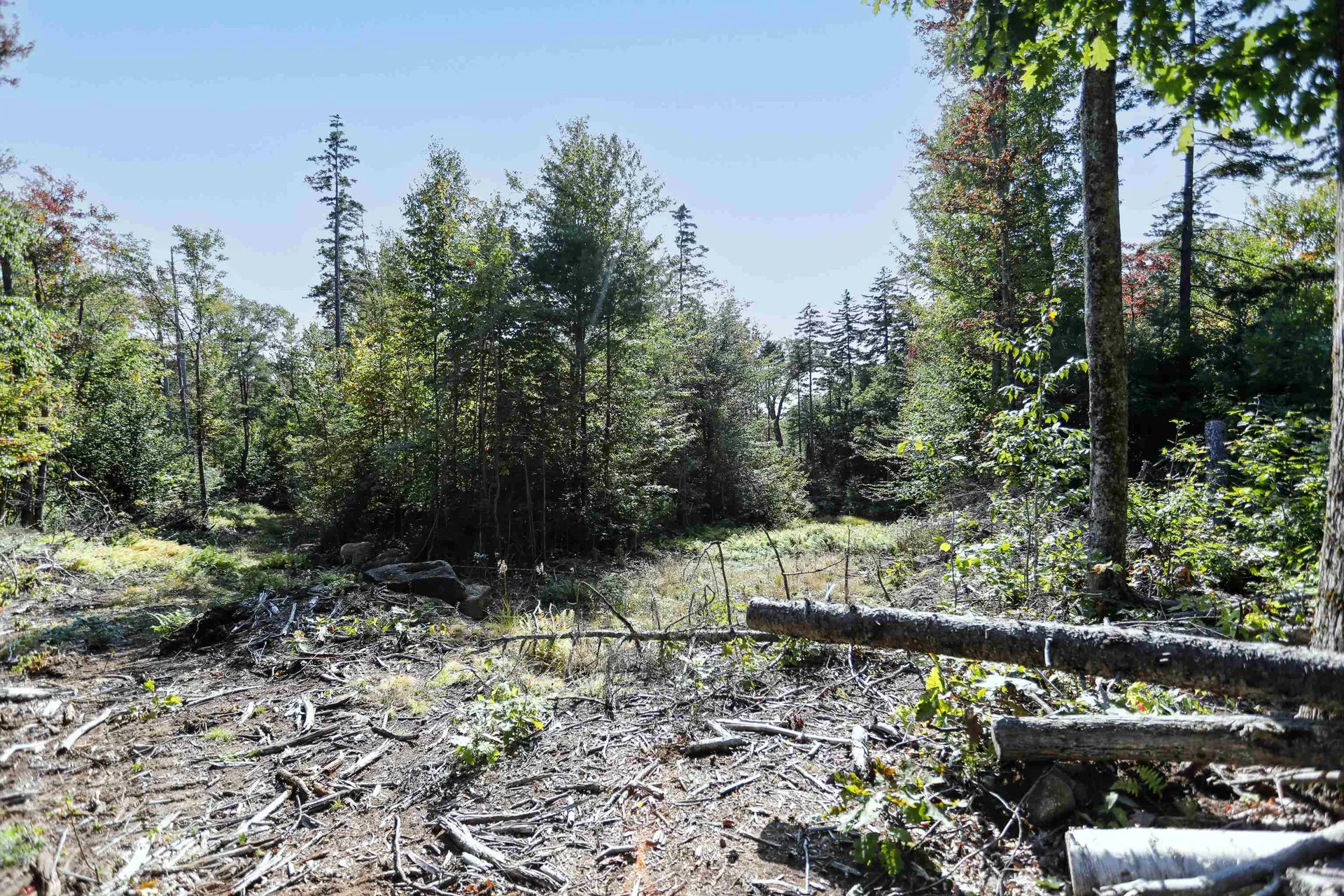 0 Rogers Road Alstead NH 03602