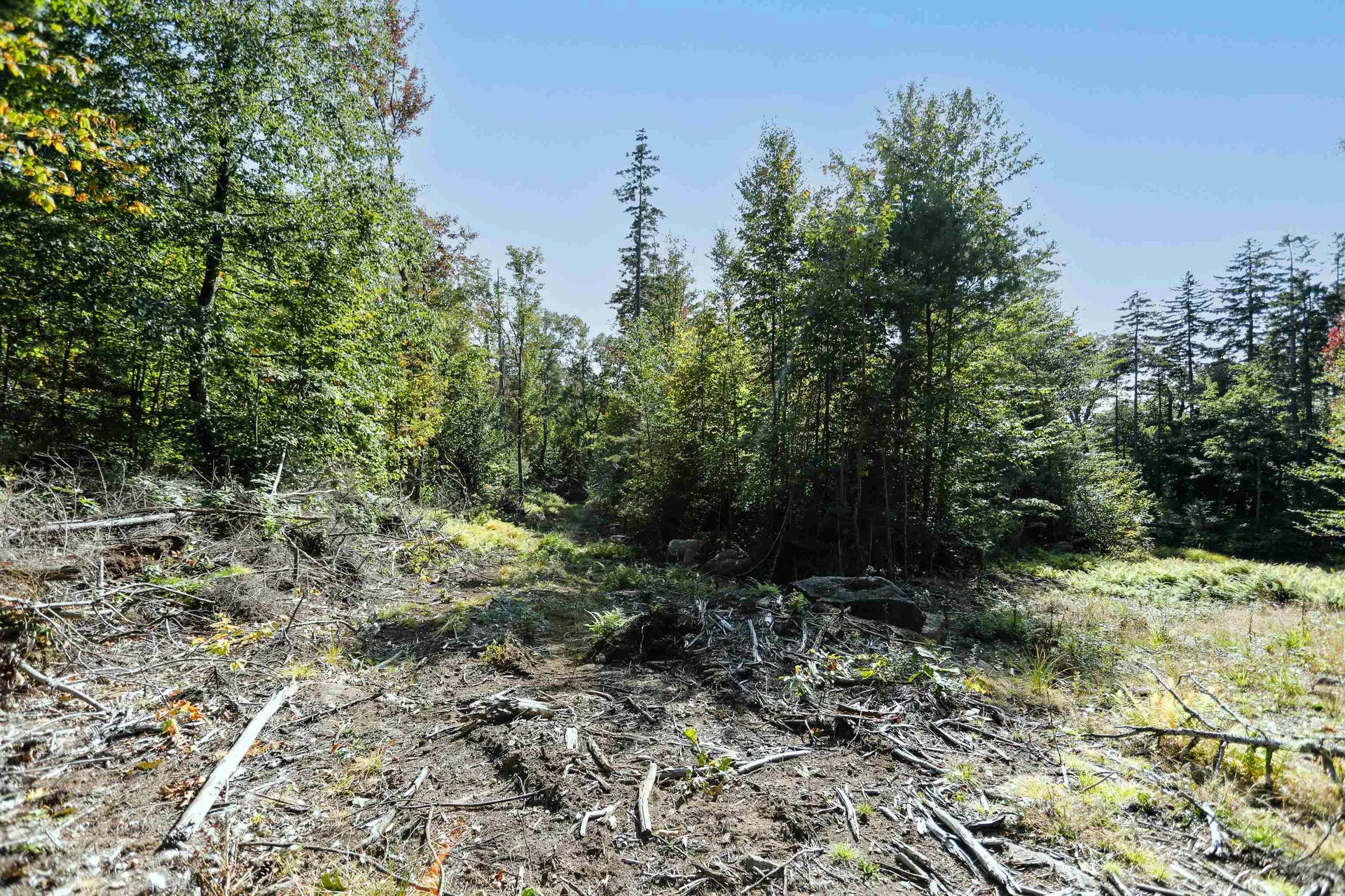 0 Rogers Road Alstead NH 03602