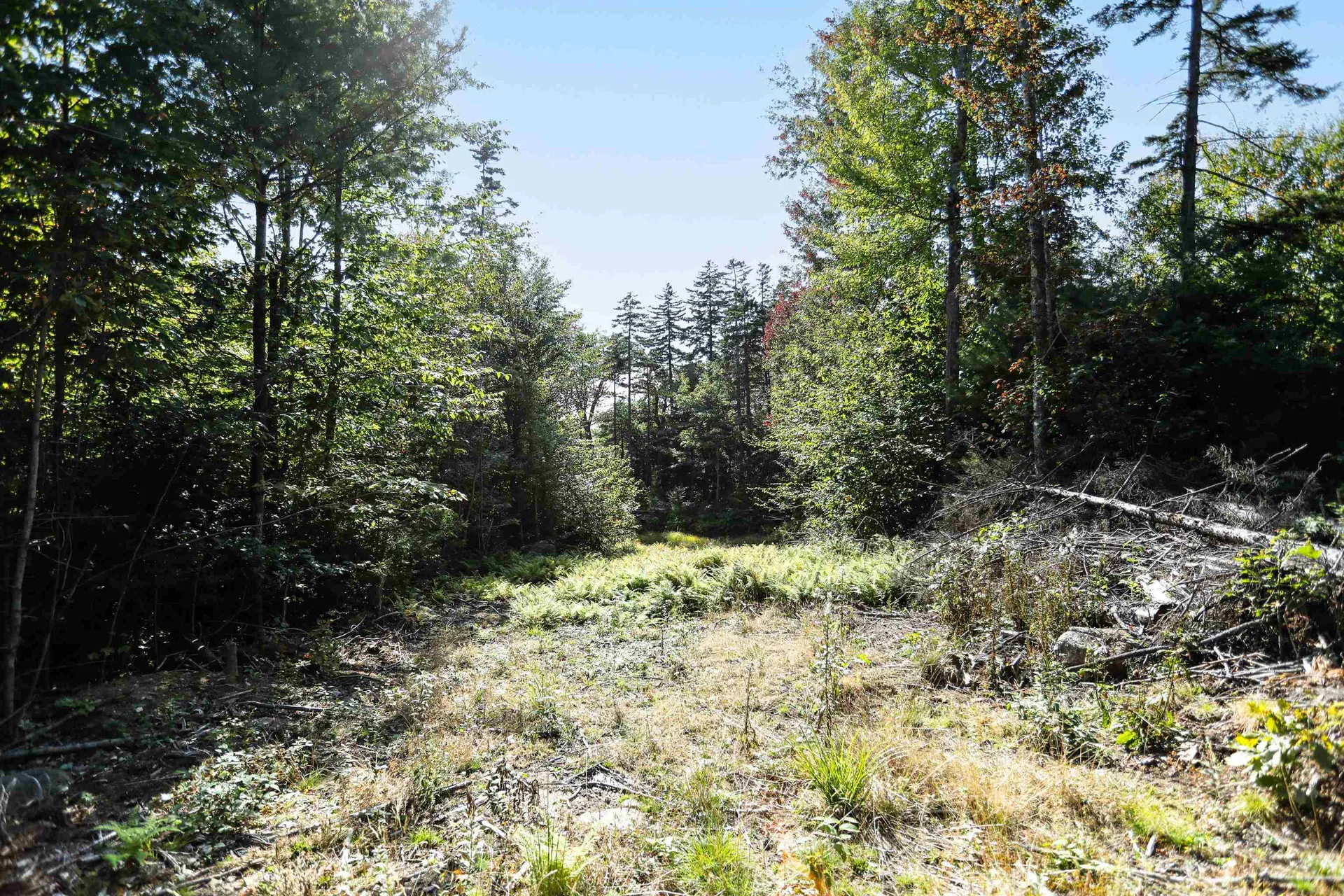 0 Rogers Road Alstead NH 03602