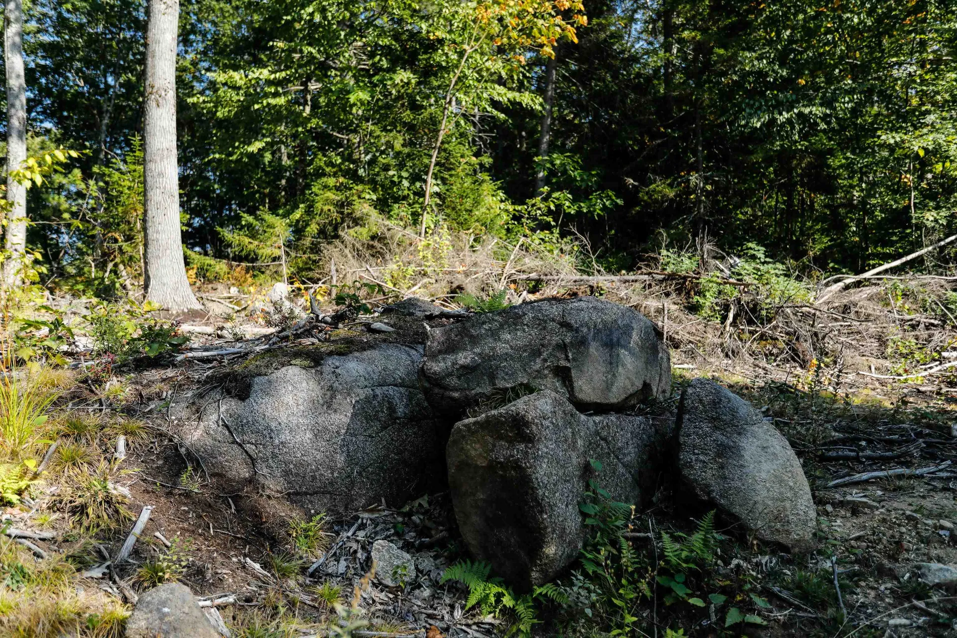 0 Rogers Road Alstead NH 03602