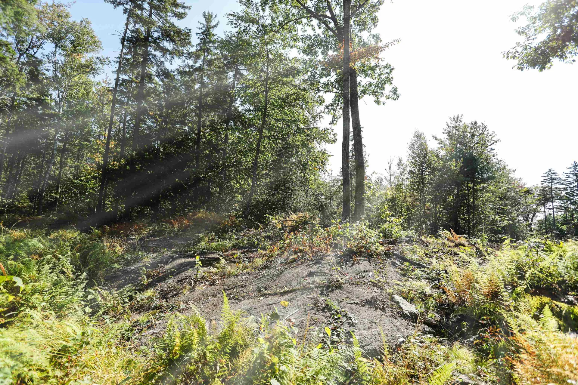0 Rogers Road Alstead NH 03602