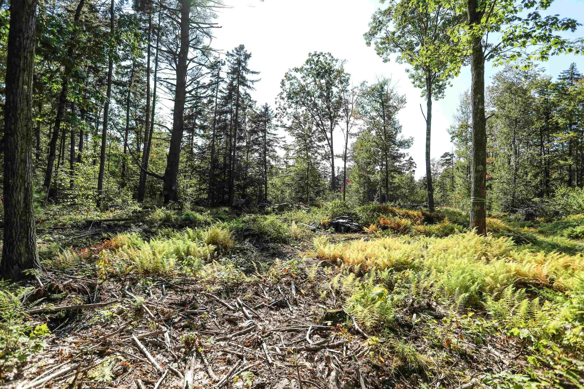 0 Rogers Road Alstead NH 03602