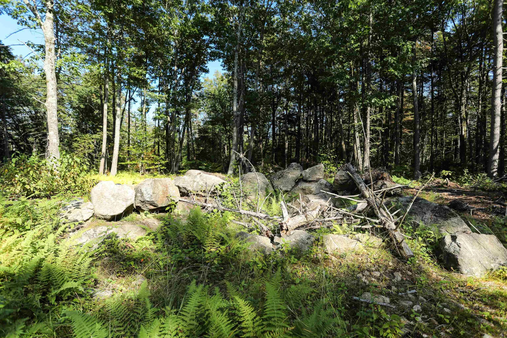0 Rogers Road Alstead NH 03602