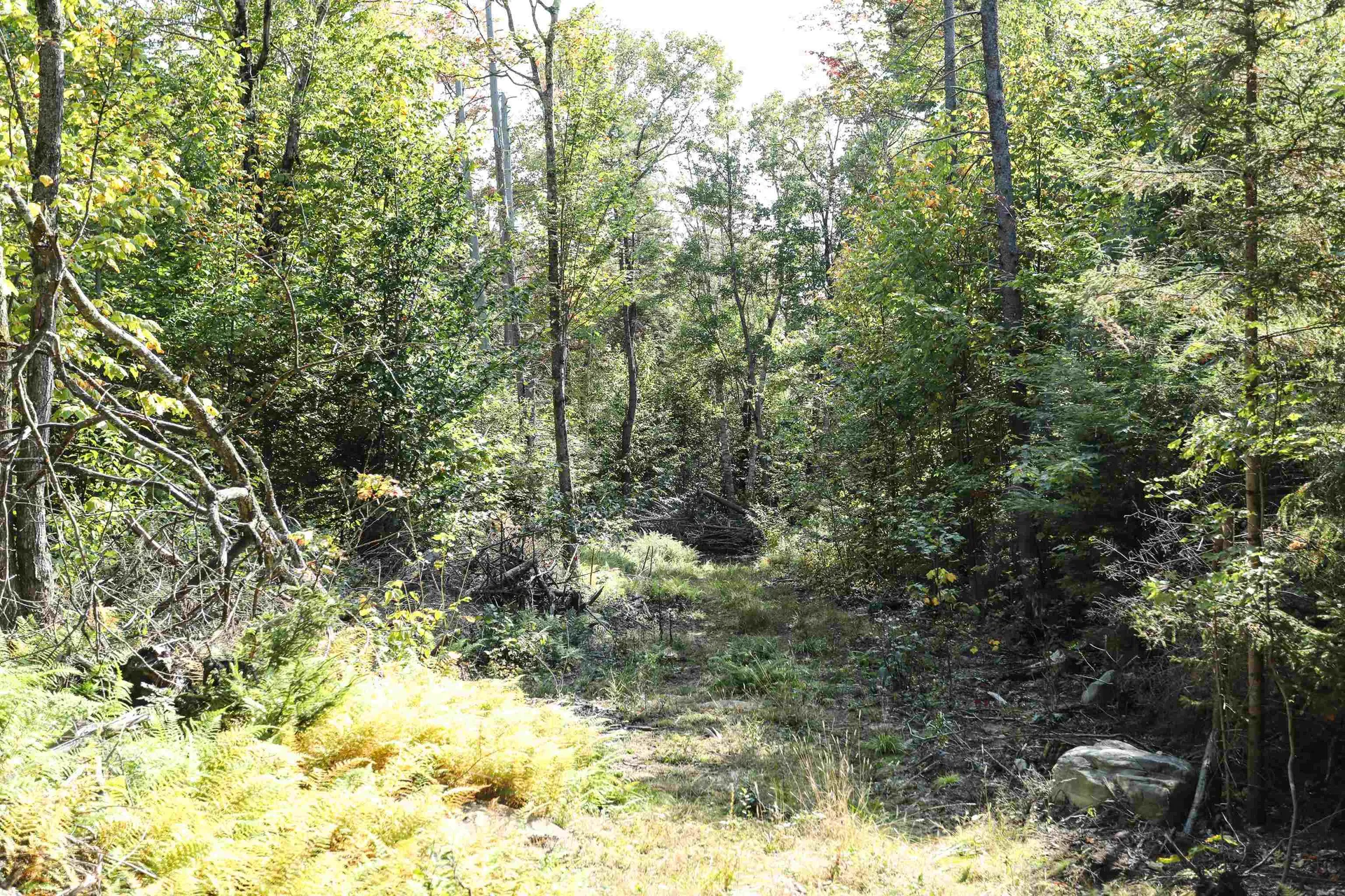 0 Rogers Road Alstead NH 03602