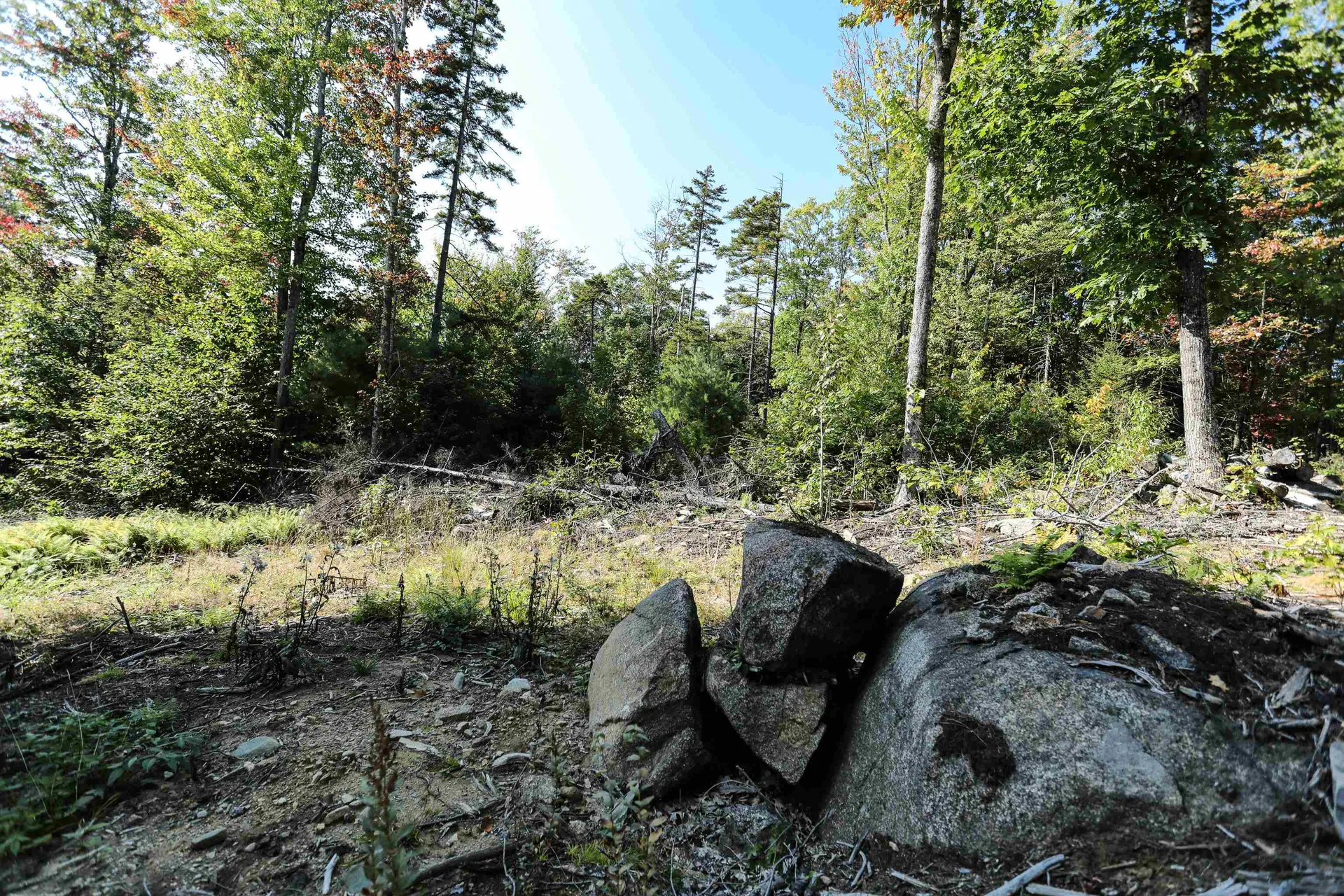 0 Rogers Road Alstead NH 03602