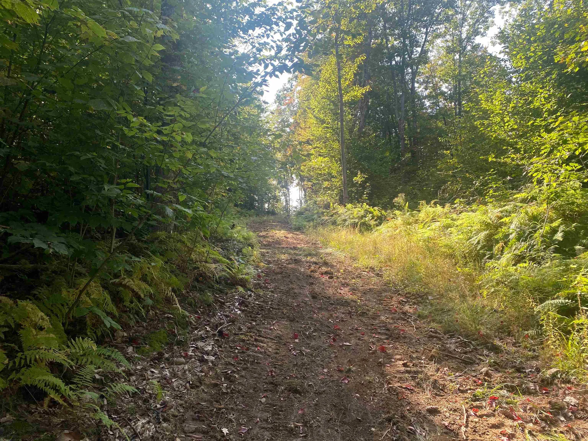 0 Rogers Road Alstead NH 03602