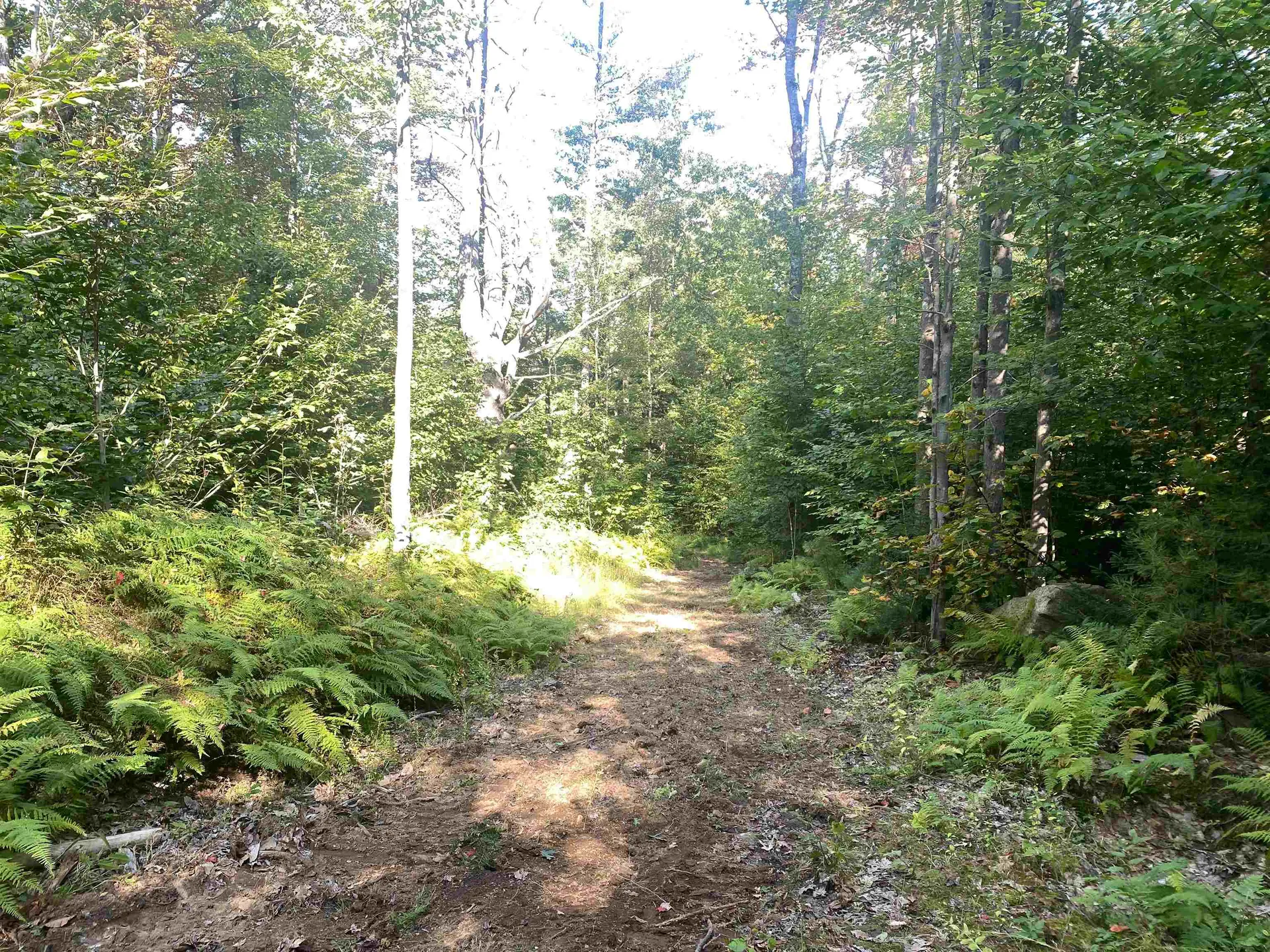 0 Rogers Road Alstead NH 03602
