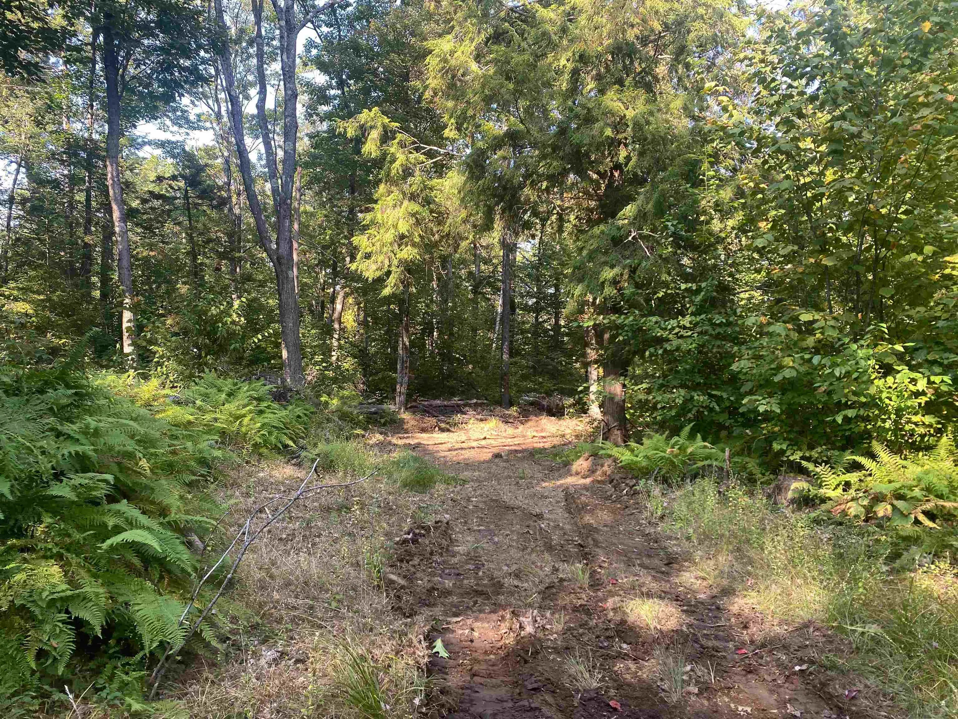0 Rogers Road Alstead NH 03602