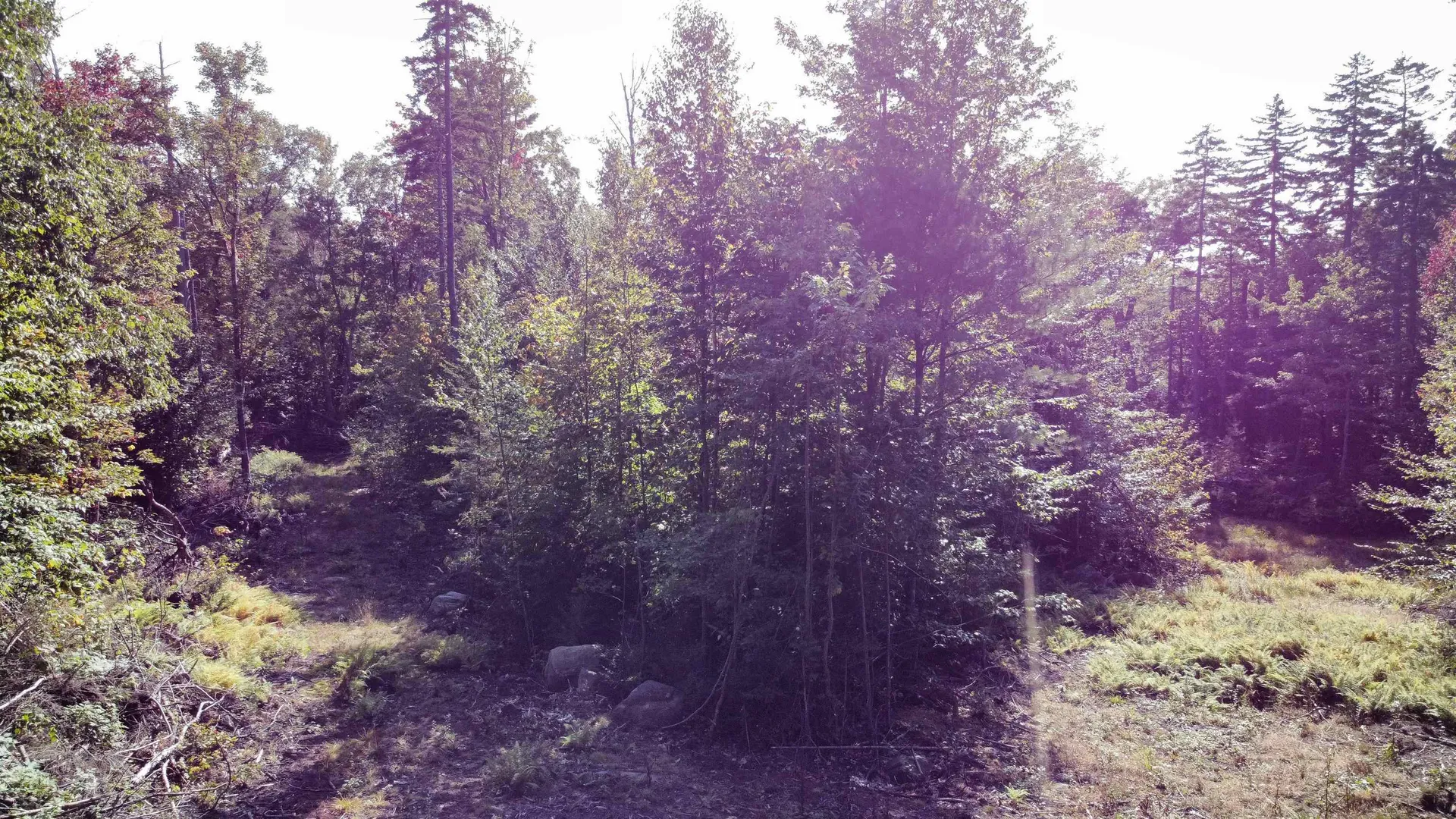 0 Rogers Road Alstead NH 03602