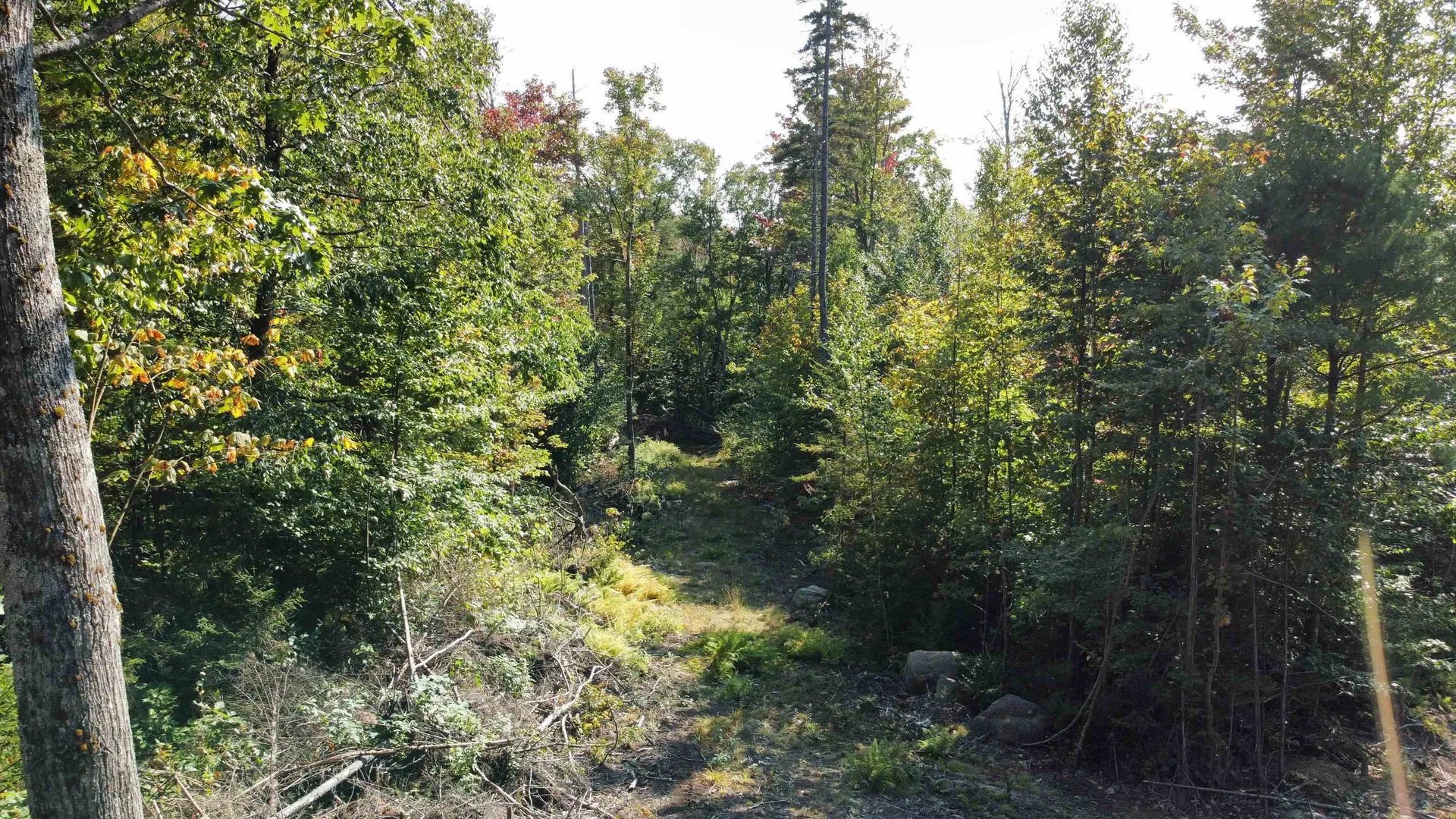 0 Rogers Road Alstead NH 03602