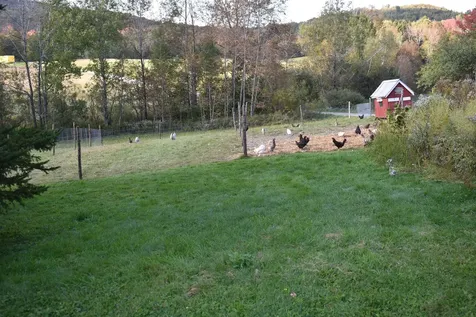 253 Old Blake Farm Road Morgan VT 05853