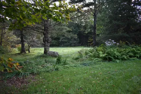 253 Old Blake Farm Road Morgan VT 05853
