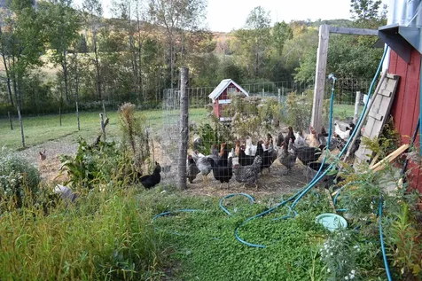 253 Old Blake Farm Road Morgan VT 05853