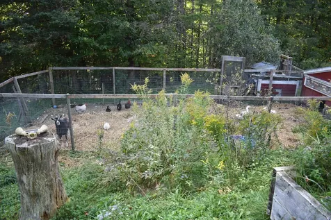 253 Old Blake Farm Road Morgan VT 05853