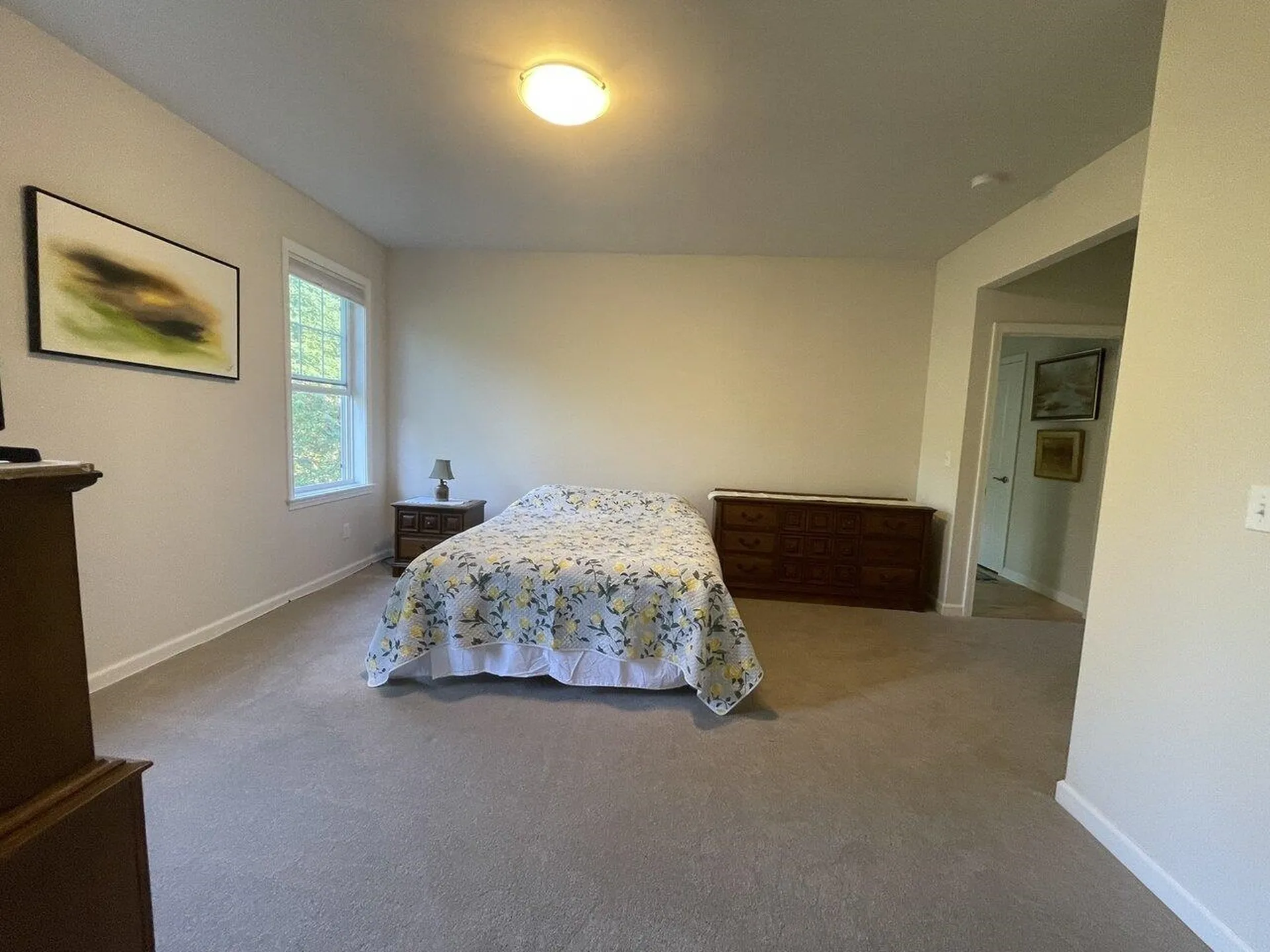 21 Mill River Lane Shelburne VT 05482